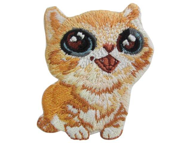 Miniatuur 1